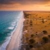 Safari from Diani Beach: Your Complete Guide to Kenya's Best Beach-to-Bush Adventures