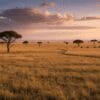 Tsavo East Day Trip from Diani Beach: Is One Day Enough?