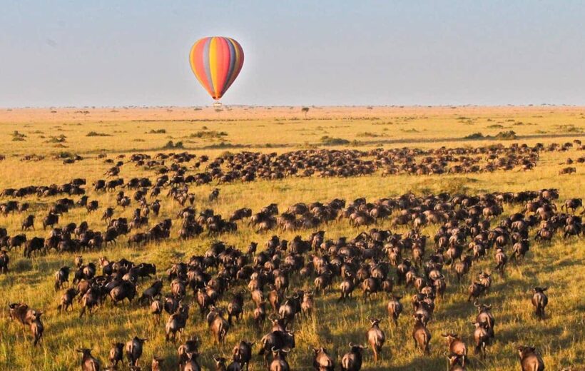 3-Day Masai Mara, Lake Naivasha Budget Safari