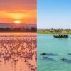 Lake Nakuru vs Lake Naivasha: Which Rift Valley Lake Should You Visit?