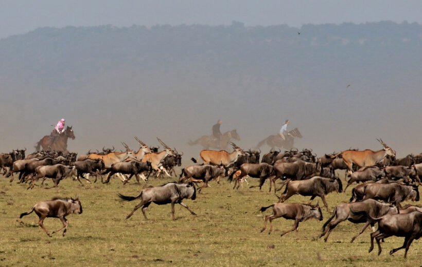 3-Day Mid-Range Masai Mara, Lake Naivasha Safari