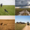 Green Season vs Dry Season Safari in the Masai Mara: Which Season Is Right for You