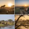 3 Nights vs 5 Nights Masai Mara: Is More Time Worth the Extra Cost