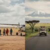 Ol Pejeta vs Masai Mara: Which Kenya Safari Should You Choose?