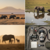Amboseli Wildlife Photography Guide