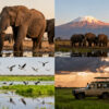 Best Time to Visit Amboseli: Month and Season Guide 2026