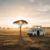 Budget Safari Myths Debunked: Affordable Kenya Tours for Every Pocket