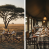 Bush Breakfast vs Camp Dining in the Masai Mara: A Complete Comparison