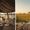 Christmas in Masai Mara vs January Safari: Which Is Better for Kenya?