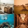 Kenya Safari vs Beach Holiday: Should You Choose Safari, Coast, or Both