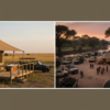 Conservancy Camp vs National Reserve Camp in the Masai Mara: A Complete Comparison