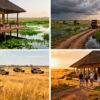 November vs December in Amboseli: Which Month Is Better?