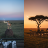 Dawn Wildlife vs Dusk Wildlife in Masai Mara: Which Is Better for Game Viewing