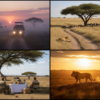 Full-Day Game Drive vs Split Morning and Afternoon Drives in the Masai Mara: Which Works Better