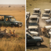 Ethical Wildlife Encounters vs Standard Safari: What's the Difference in Kenya