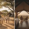 Family-Friendly vs Adults-Only Safari Camps in the Masai Mara: A Complete Guide