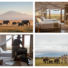 Best Amboseli Itinerary for First Timers