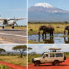 Amboseli Fly vs Drive: Full Transport Guide 2026