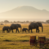 Amboseli in January: Weather, Wildlife, and Timing Guide
