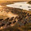 Masai Mara Animals Month by Month: When to See Every Species in 2026 🦁