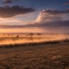Masai Mara Weather Month by Month: The Complete Guide to Every Season 🌍