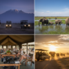 Amboseli in July: Weather, Wildlife, and Timing Guide