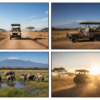 Amboseli in June: Weather, Wildlife, and Timing Guide