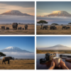 How Many Nights in Amboseli? A Practical Safari Guide