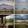 Is Amboseli Worth It in the Rainy Season?