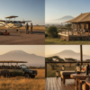 Amboseli Luxury Safari Guide