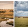 Masai Mara and Serengeti Cross-Border Safari: Is Adding the Serengeti Worth It?