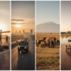 Amboseli Safari From Nairobi Guide