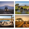 Amboseli in October: Weather, Wildlife, and Timing Guide