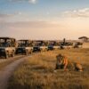 Off-Road vs On-Road Game Drive in the Masai Mara: What the Rules Mean for Your Safari