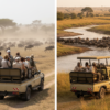 Kenya Migration Safari Cost Guide: What to Budget for 2026