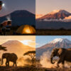 Best Amboseli Camps for Kilimanjaro Photography