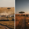 Best Masai Mara Camps for Migration: How to Choose Where to Stay
