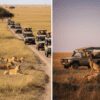 Masai Mara Conservancy vs National Reserve: Which Safari Experience Is Right for You?