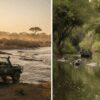 Mara River Crossing: Boat vs Vehicle Position: How to Get the Best View