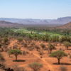 Seasons in Samburu National Reserve: Month-by-Month Safari Guide