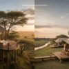 Tree House Lodge vs Tented Camp in Masai Mara: Which Safari
