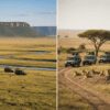 Mara Triangle vs Masai Mara Reserve: Which Zone Delivers the Better Safari?