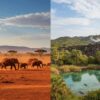 Tsavo East vs Tsavo West: Which Kenya Safari Park Should You Visit?