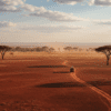Seasons in Tsavo East National Park: Month-by-Month Safari Guide