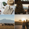 Christmas Safari in Amboseli vs January Trip