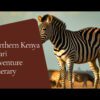 7 Day Northern Kenya Safari Itinerary Samburu To Lake Turkana
