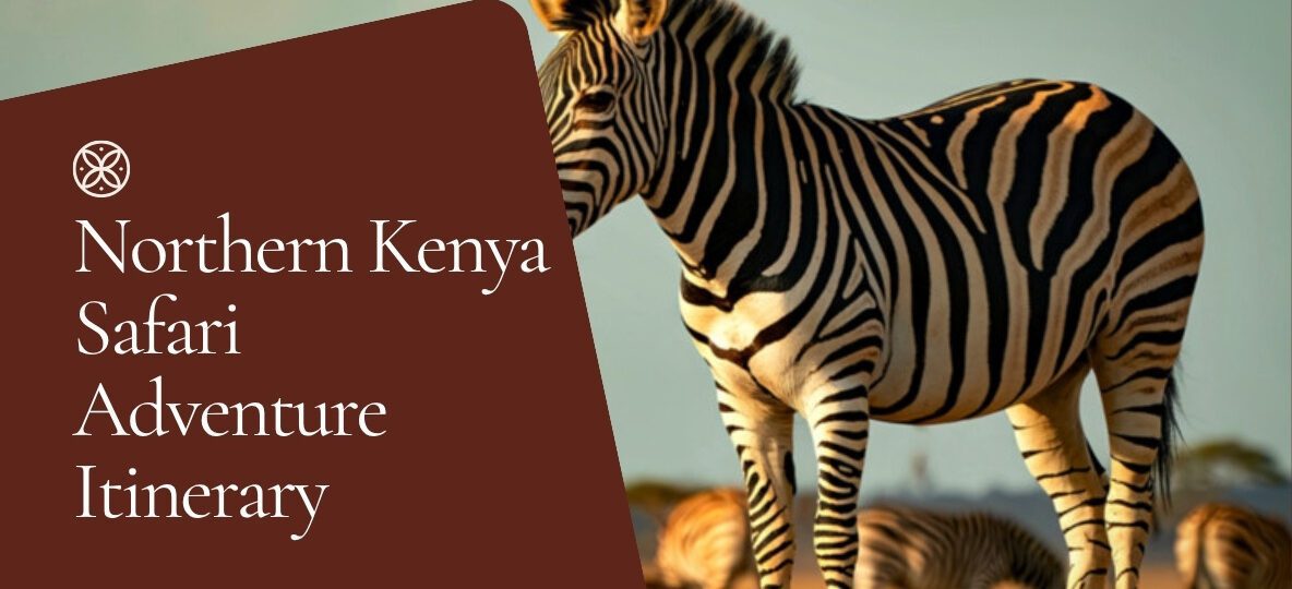 7 Day Northern Kenya Safari Itinerary Samburu To Lake Turkana