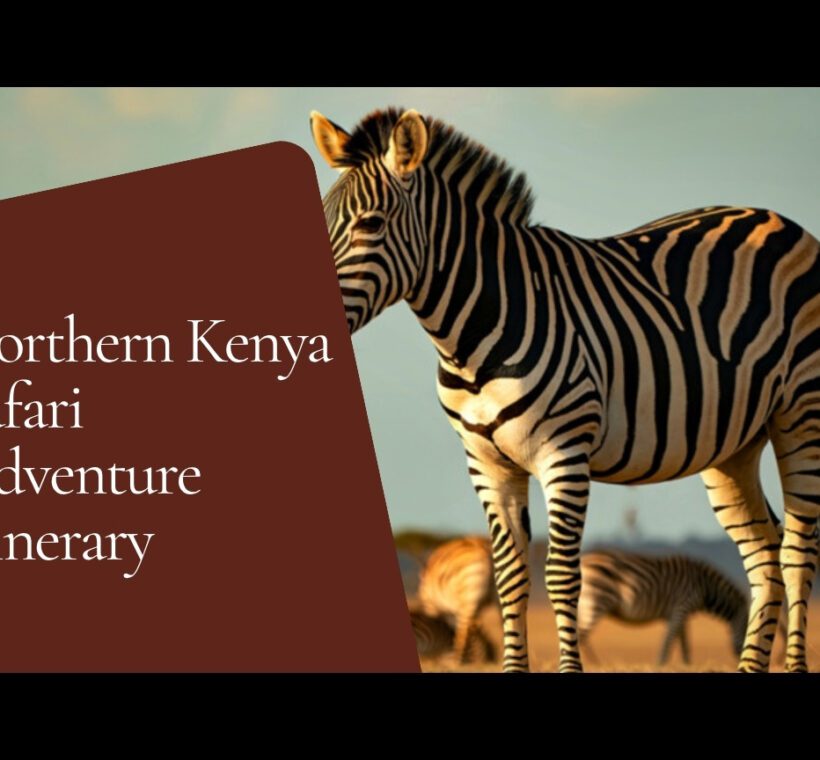 7 Day Northern Kenya Safari Itinerary Samburu To Lake Turkana