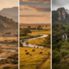 Northern Kenya Conservancy Comparison: Which Conservancy Fits Your Safari Style?