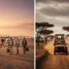 Fly-in vs Overland Northern Kenya Safari: Cost, Time, and Experience